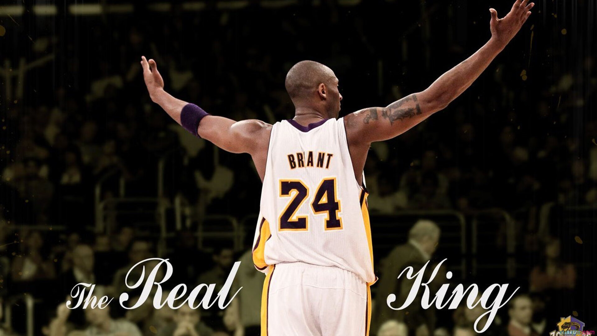 中国篮球运动社区联赛发展，社区杯篮球赛